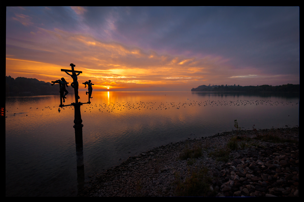 guten morgen, mainau.