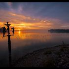 guten morgen, mainau.