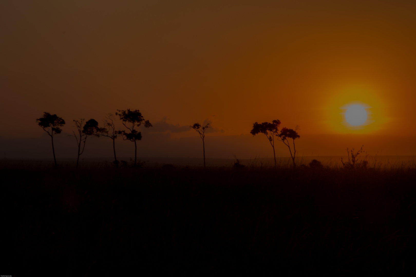 Guten Morgen Masai Mara/Kenia 1