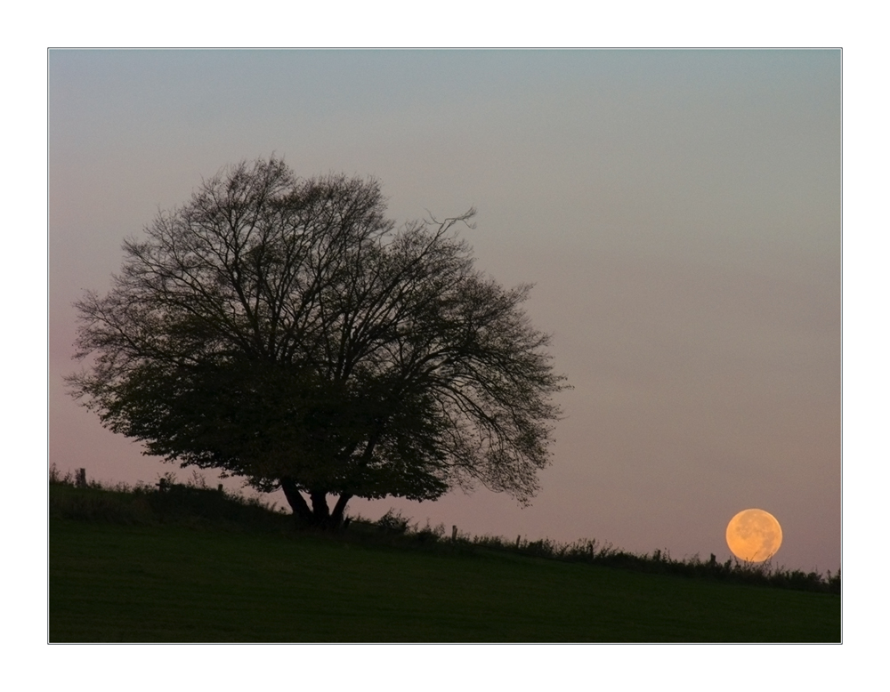 Guten Morgen, Mond - ...und tschüss, ICH geh´ jetzt AUF !