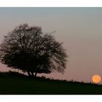 Guten Morgen, Mond - ...und tschüss, ICH geh´ jetzt AUF !