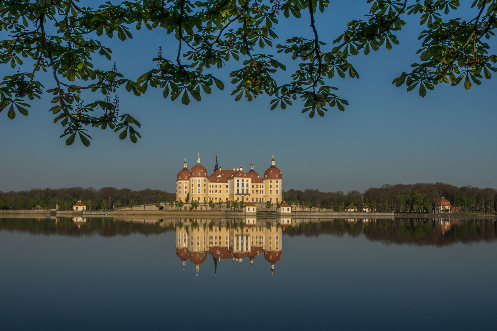 Guten Morgen Moritzburg