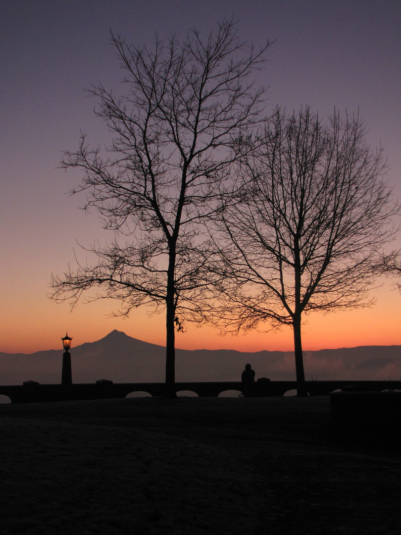 Guten Morgen, Mt.Hood!