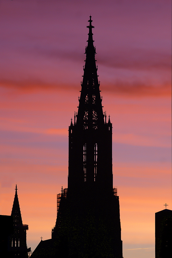 Guten Morgen Münster!!!