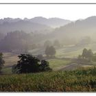 Guten Morgen Naafbachtal