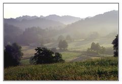 Guten Morgen Naafbachtal