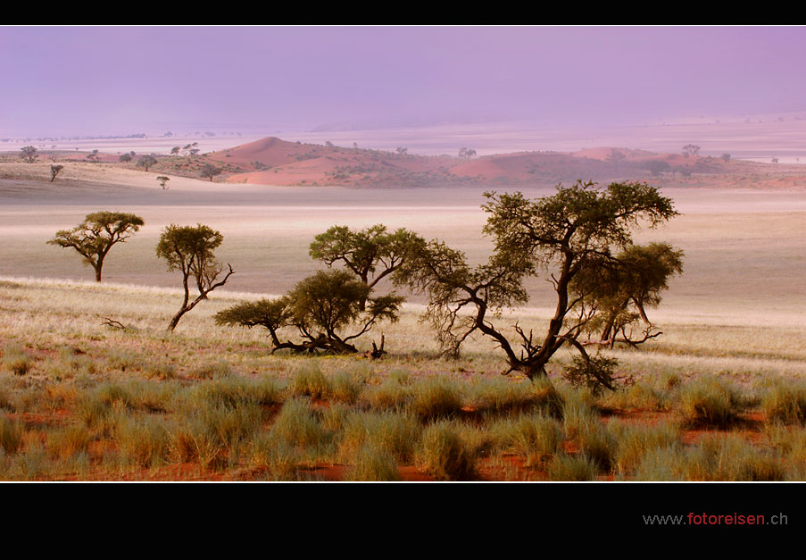 Guten Morgen Namibrand