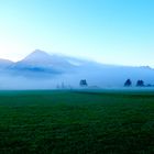 Guten Morgen - Naturparkregion Reutte