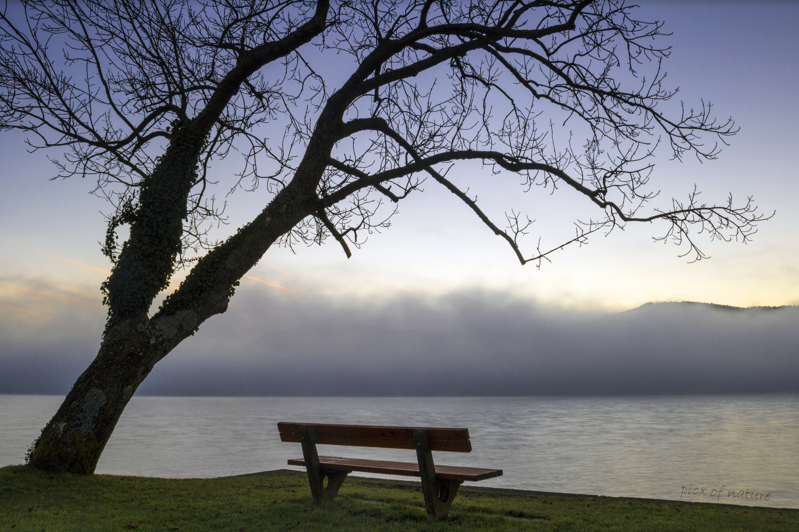 *guten Morgen Nebel Bank*