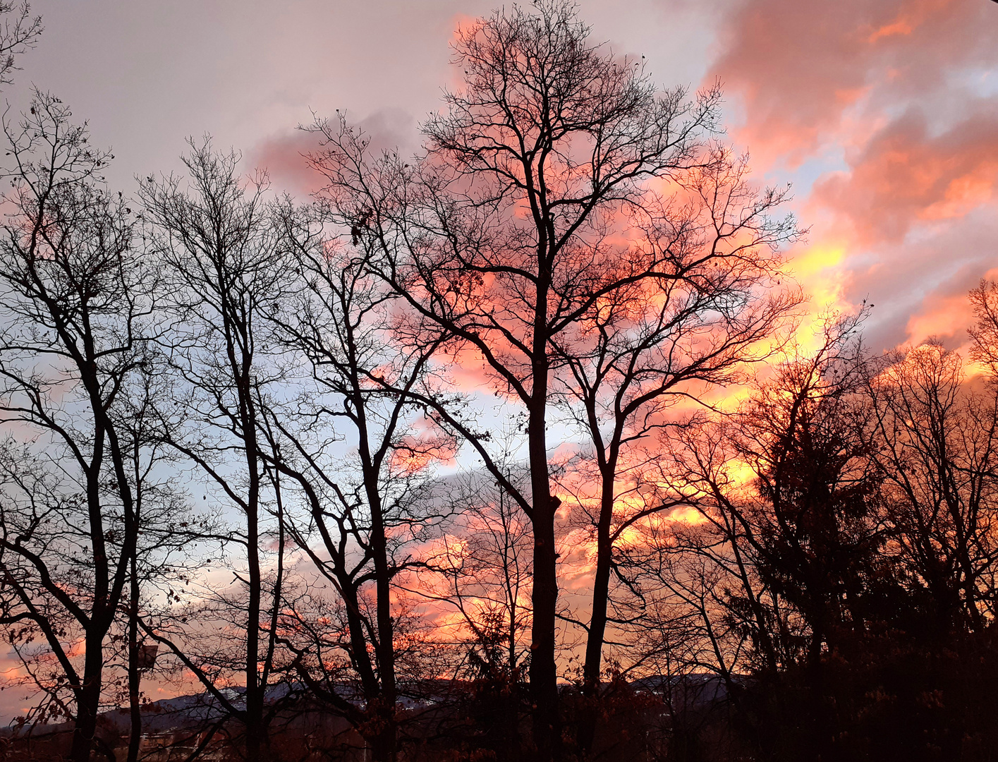 Guten Morgen neue Woche !