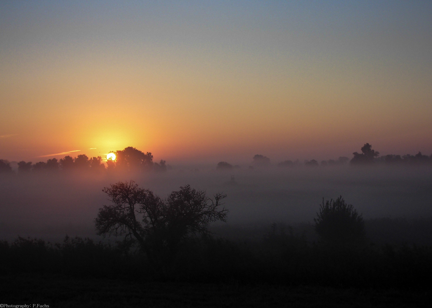 Guten Morgen Oderbruch 1