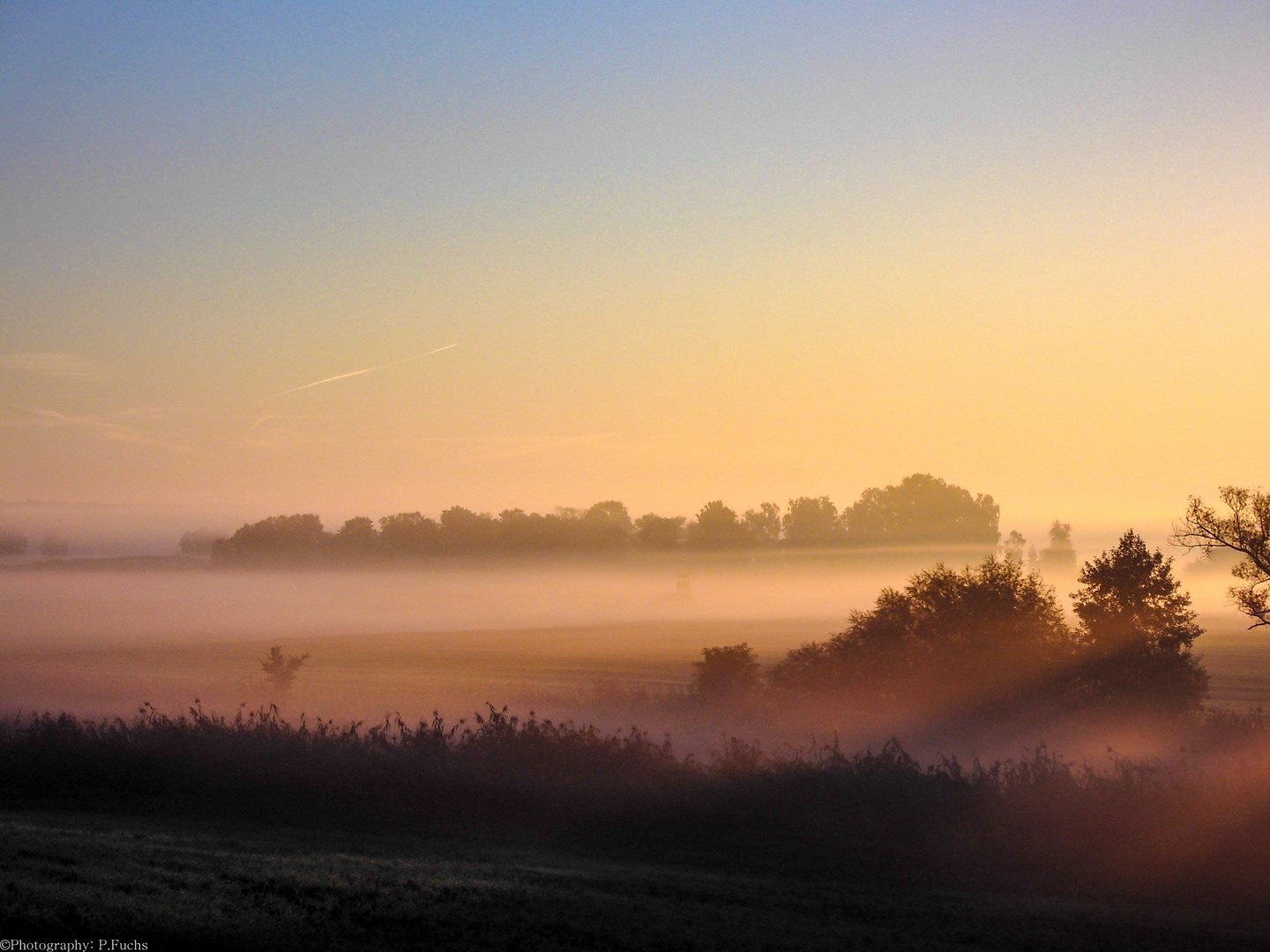 Guten Morgen Oderbruch