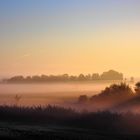 Guten Morgen Oderbruch