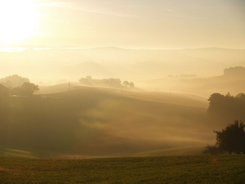 Guten Morgen Österreich!