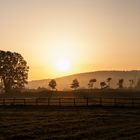 Guten-Morgen-Pano