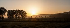 Guten-Morgen-Pano