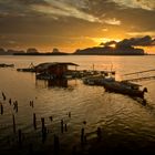 Guten Morgen Phang Nga