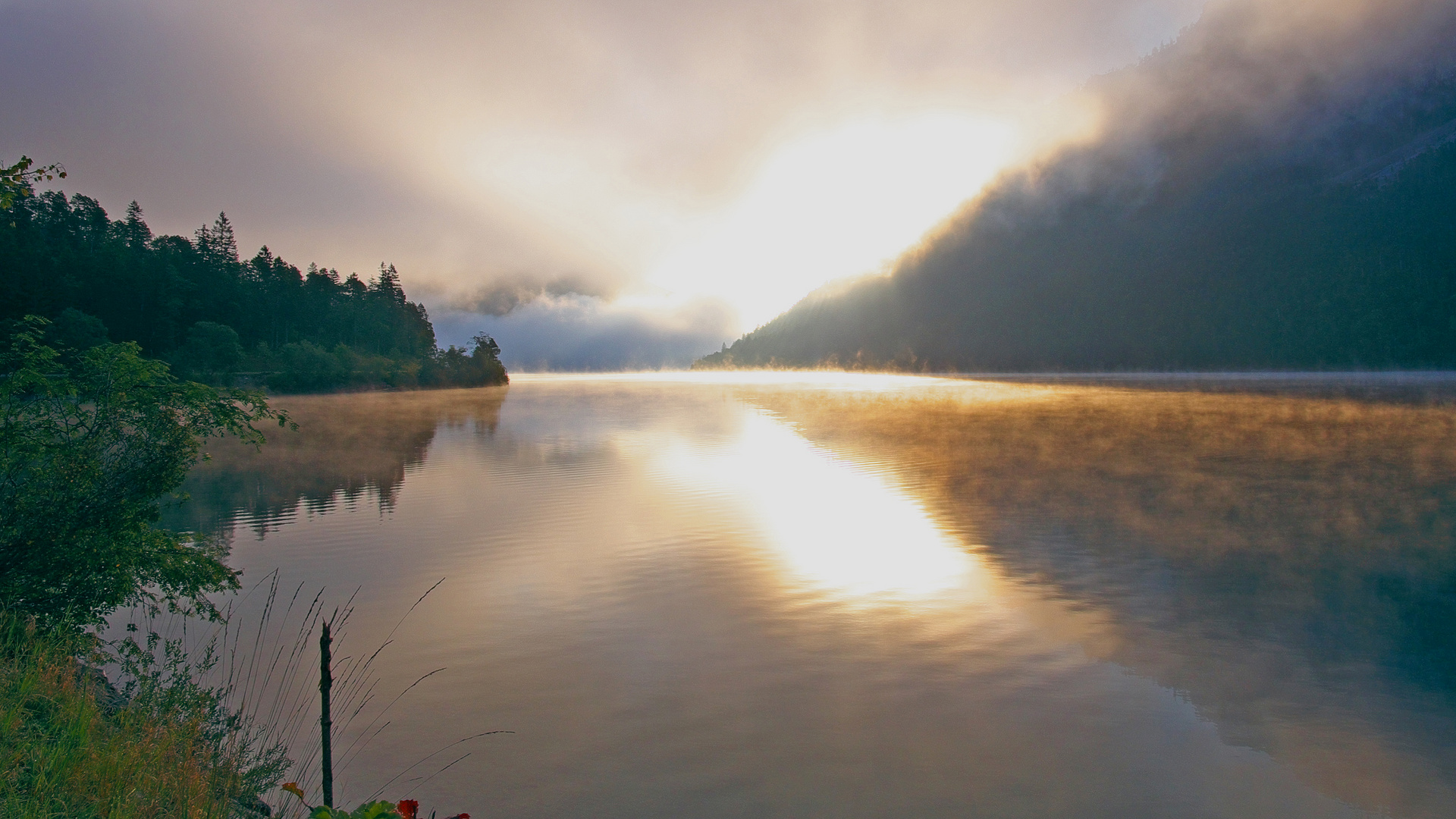 Guten Morgen - Plansee