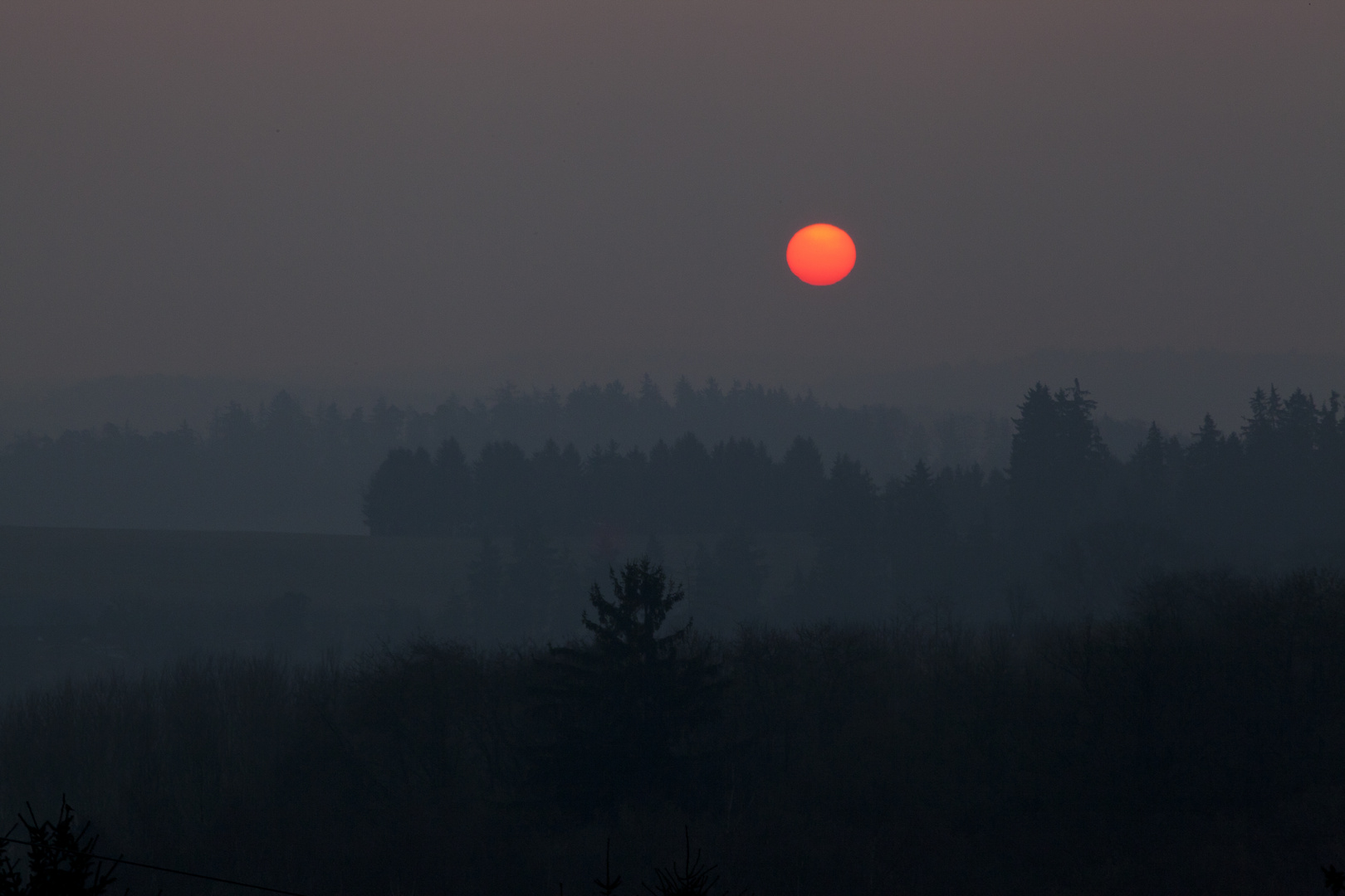 Guten Morgen Rheingau 2