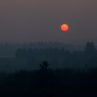 Guten Morgen Rheingau 2