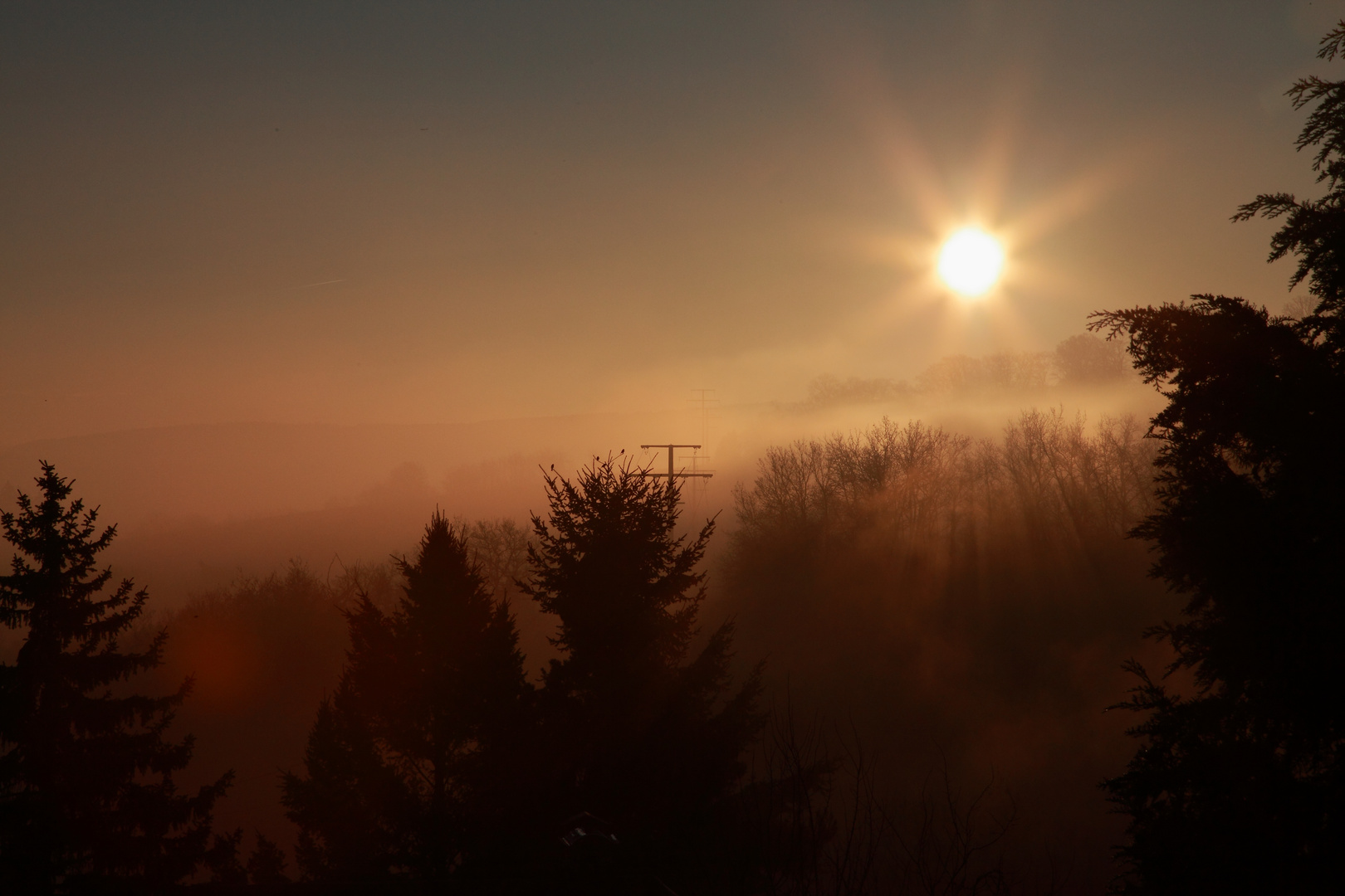 Guten Morgen Rheingau