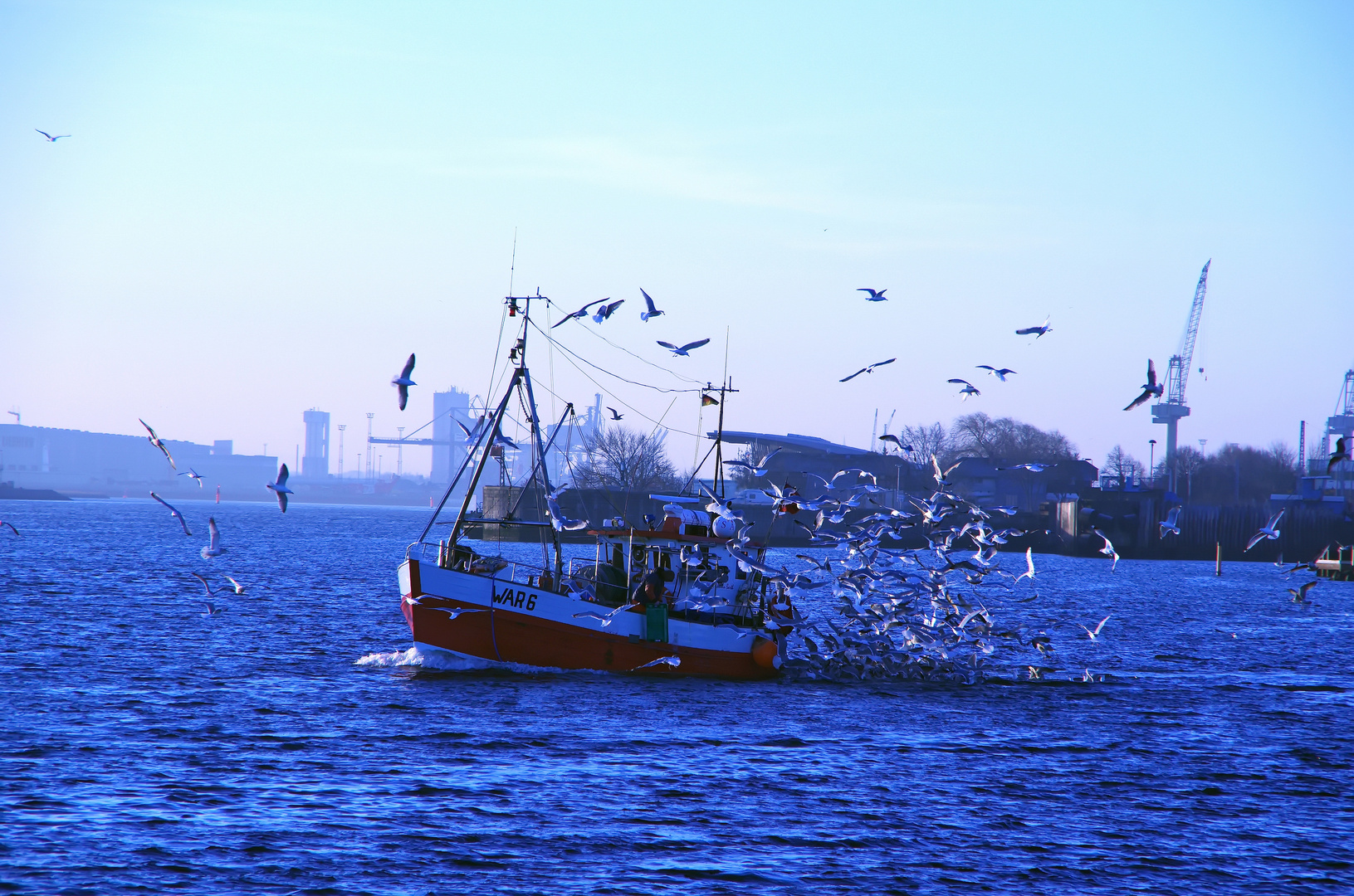 Guten Morgen Rostock 5