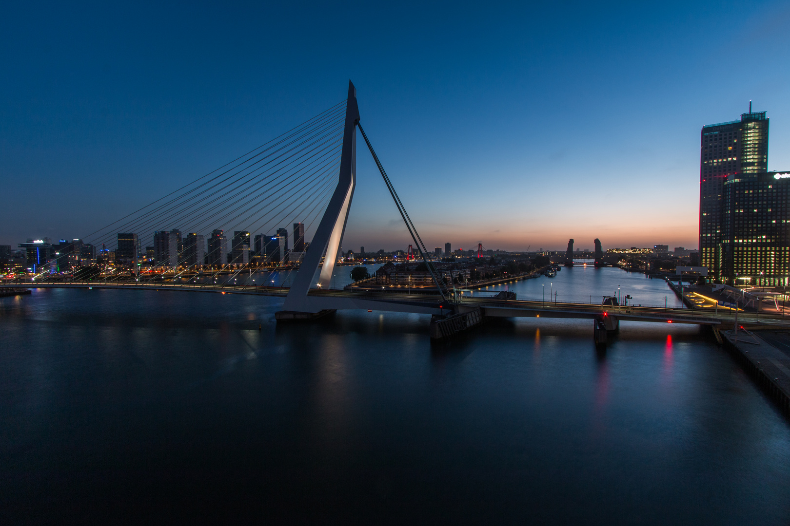 guten morgen Rotterdam_1