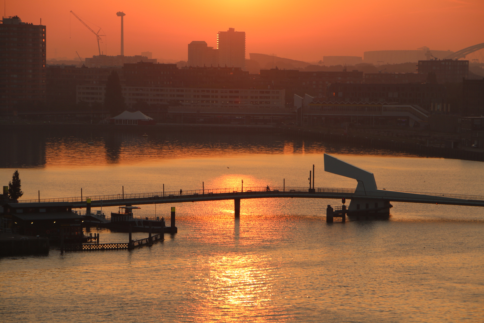 guten morgen Rotterdam_3