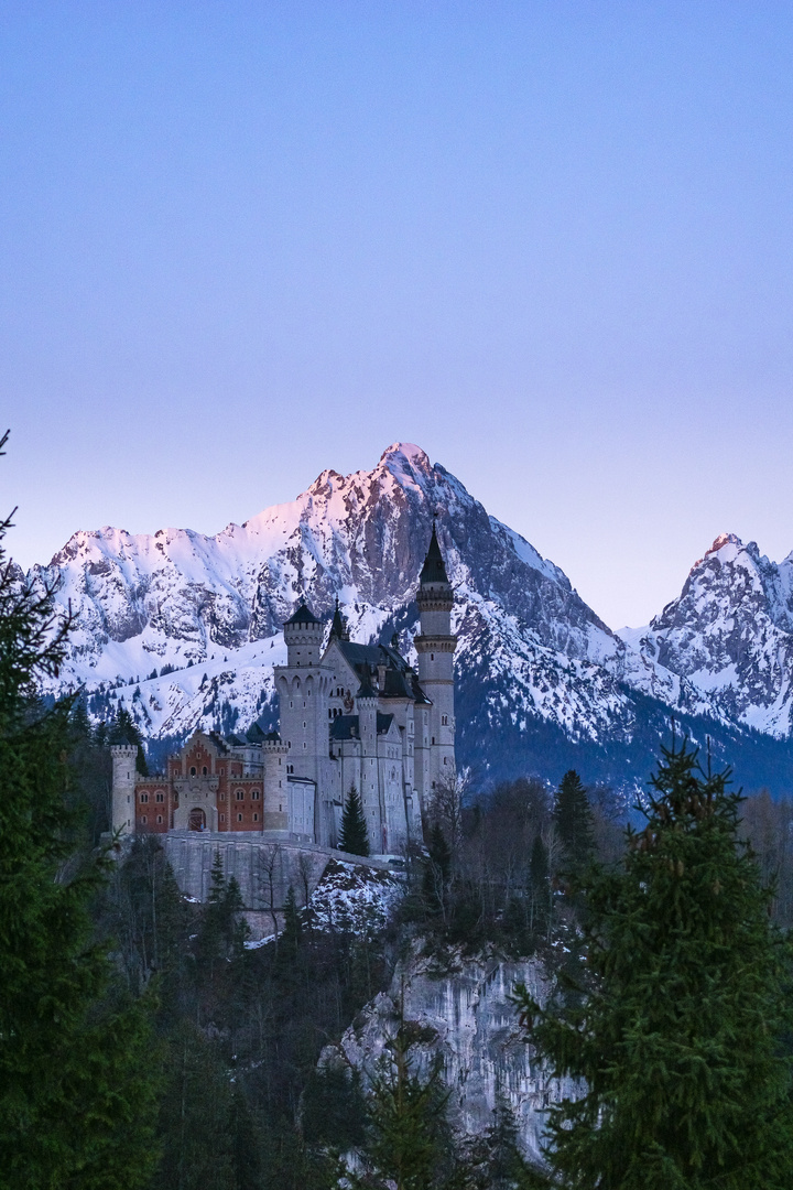 Guten Morgen Schloss Neuschwanstein 