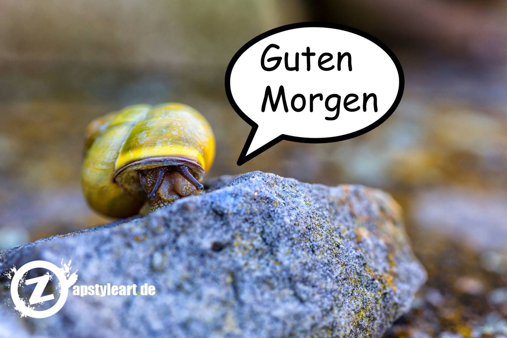 Guten Morgen Schnecke ;)