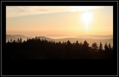 Guten Morgen Schwarzwald