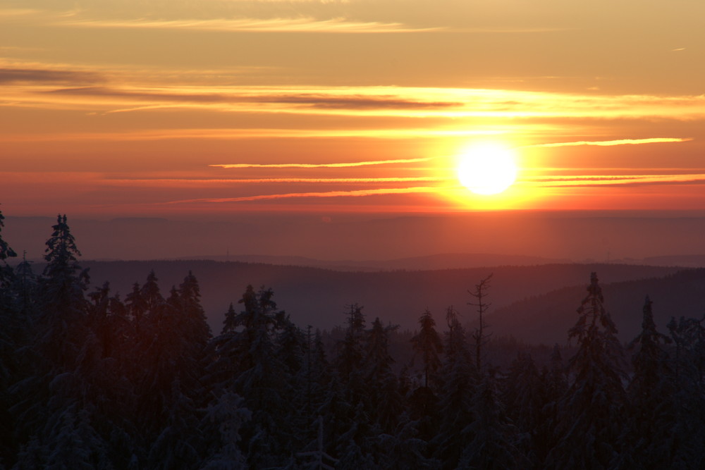 Guten Morgen Schwarzwald