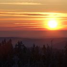 Guten Morgen Schwarzwald