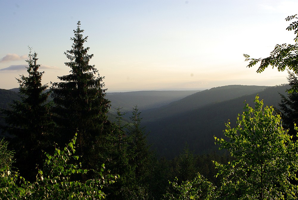 Guten Morgen Schwarzwald