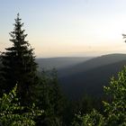 Guten Morgen Schwarzwald