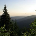 Guten Morgen Schwarzwald