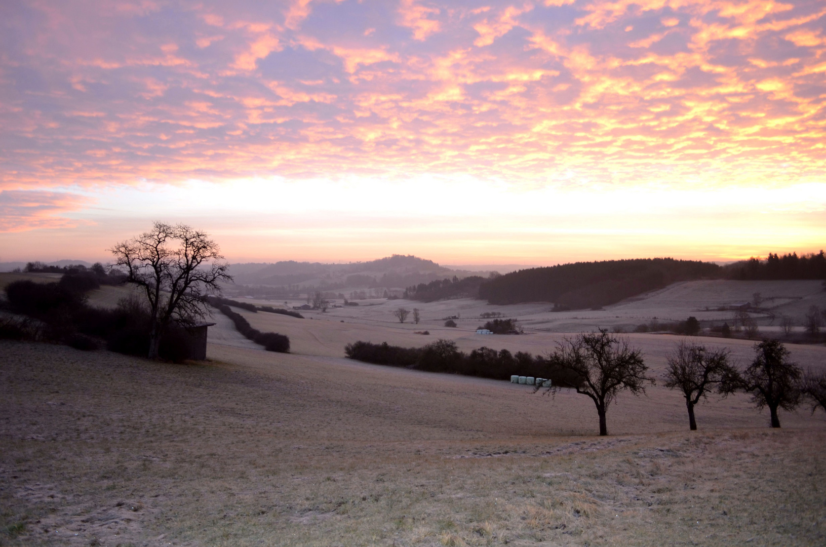 Guten Morgen Silvester