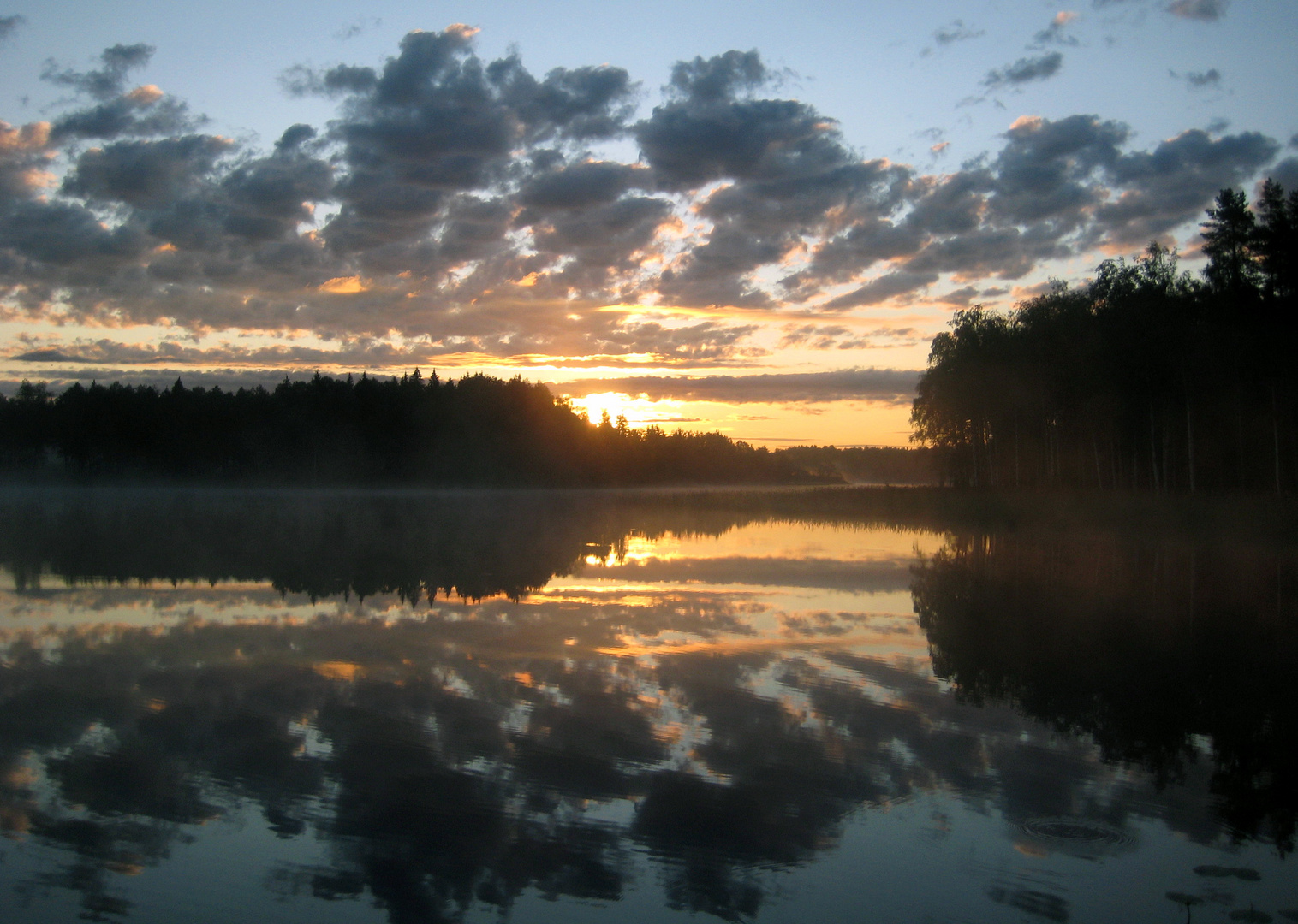 Guten Morgen Skandinavien