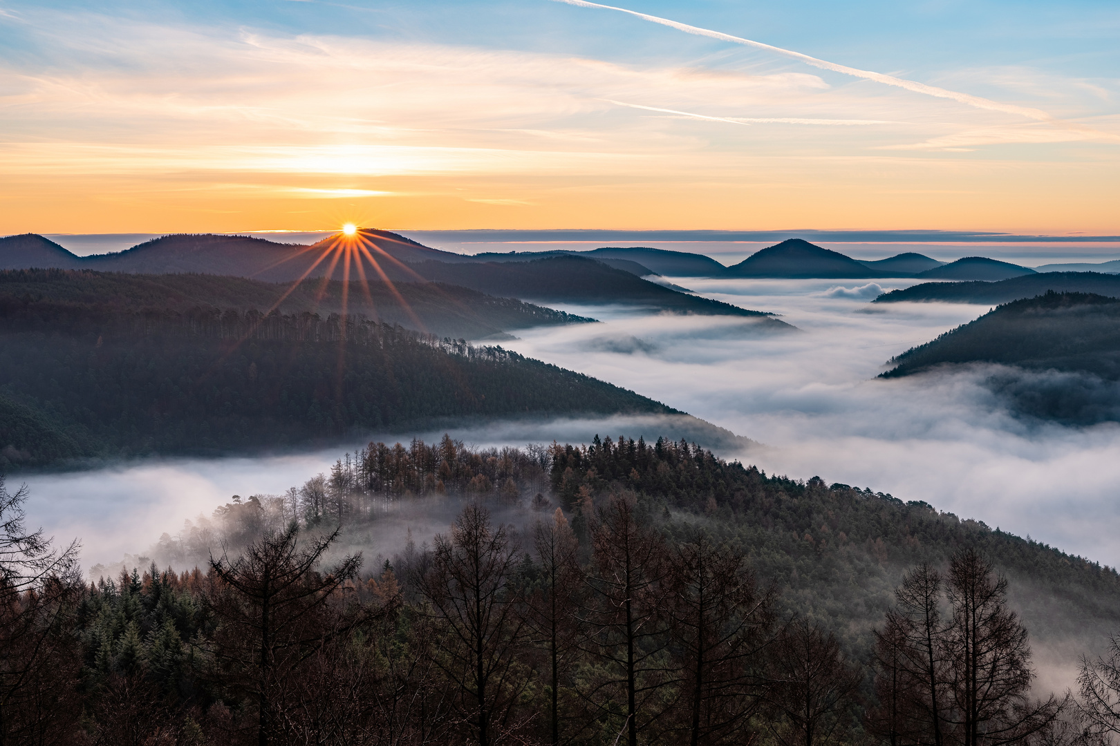 Guten Morgen, Sonnenschein!