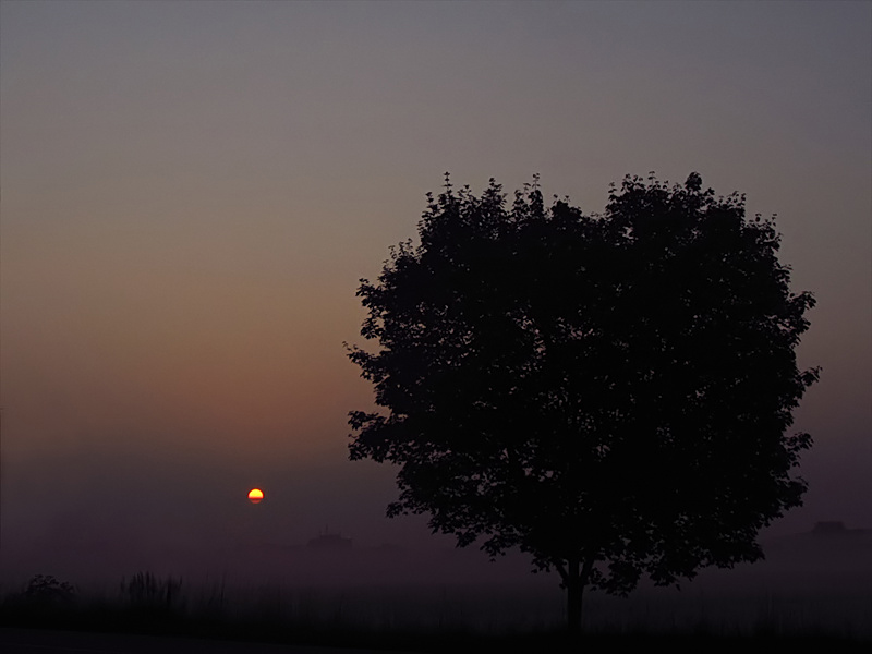 Guten Morgen Sonnenschein