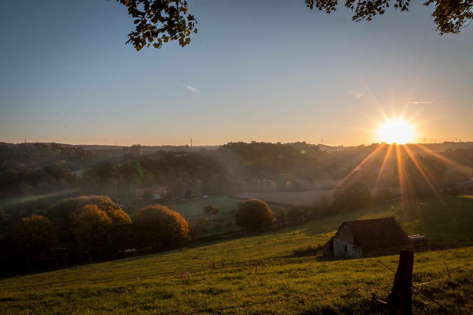 Guten Morgen Sonnenschein