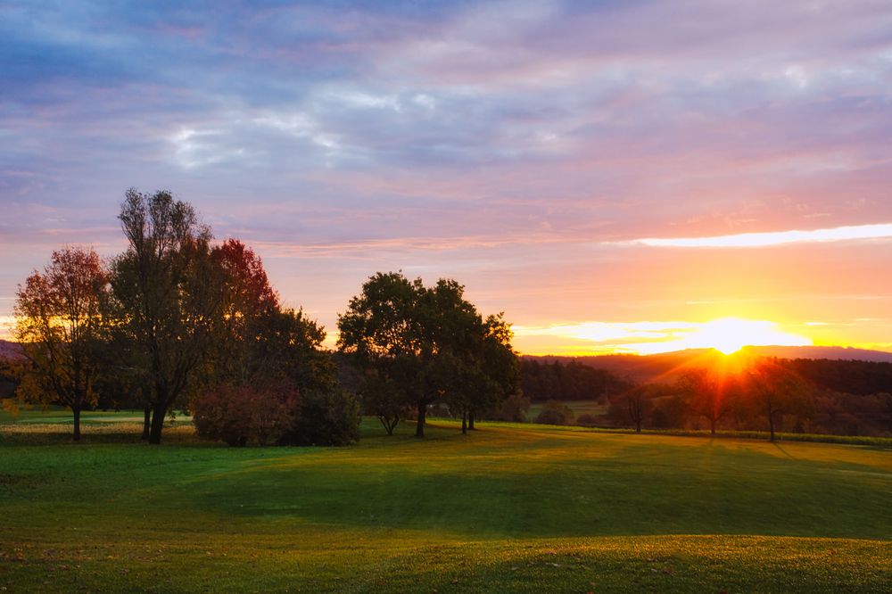 Guten Morgen Sonnenschein Foto &amp; Bild | natur Bilder auf fotocommunity