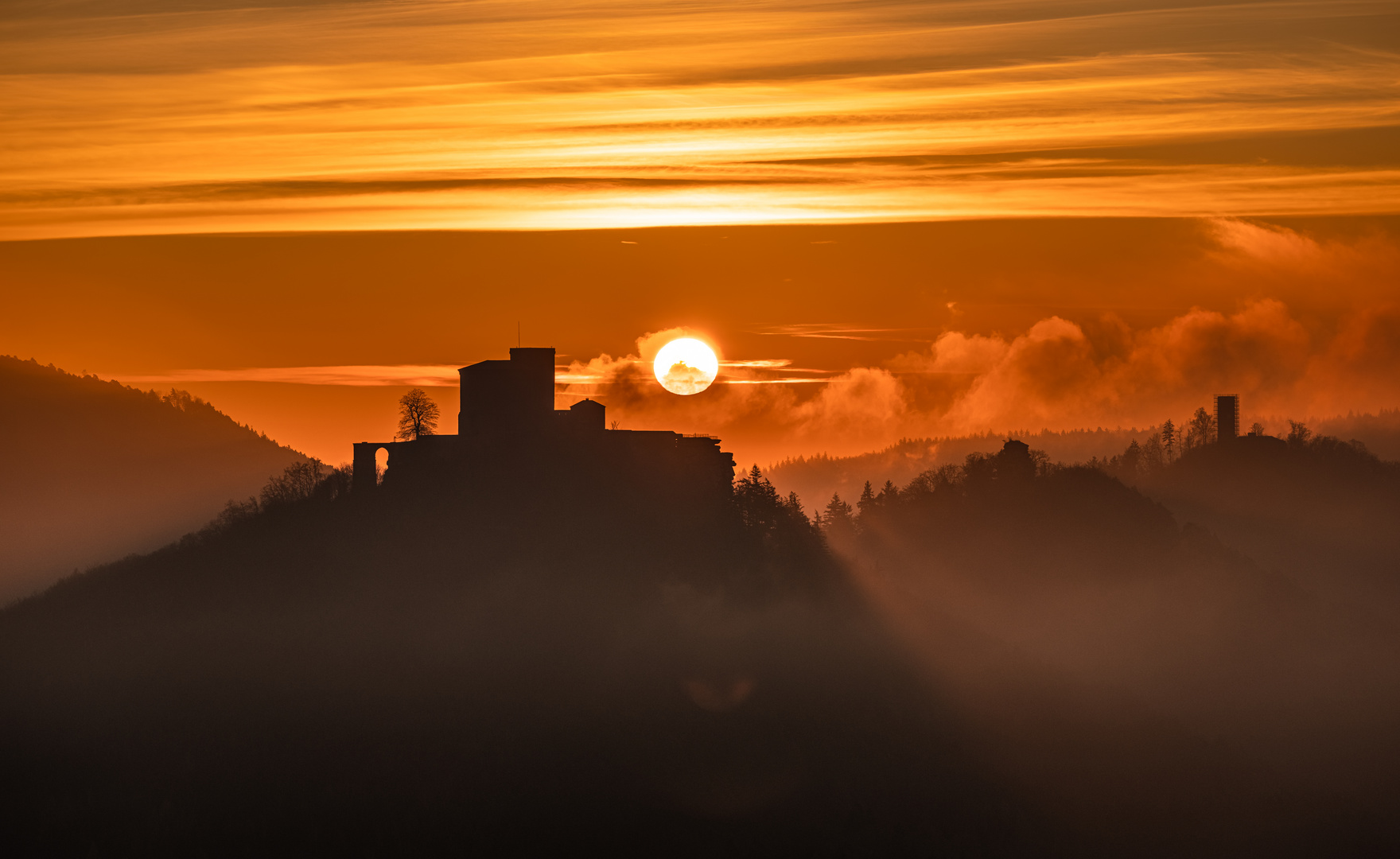 Guten Morgen Sonnenschein!