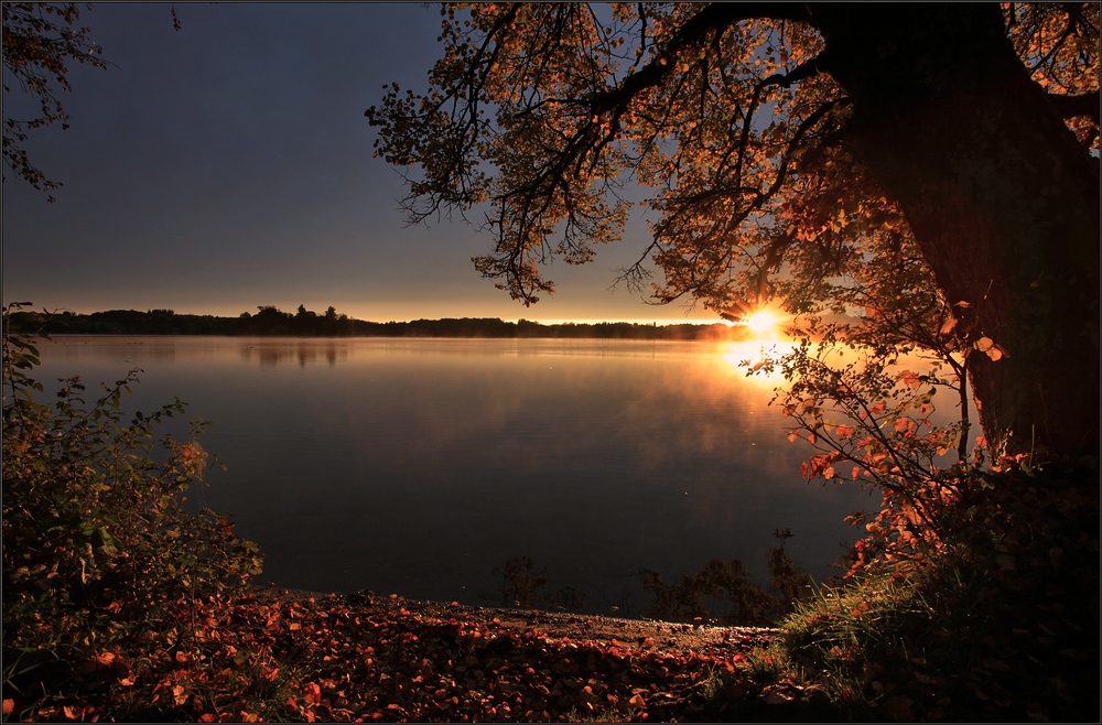 ~ Guten Morgen Sonnenschein II ~