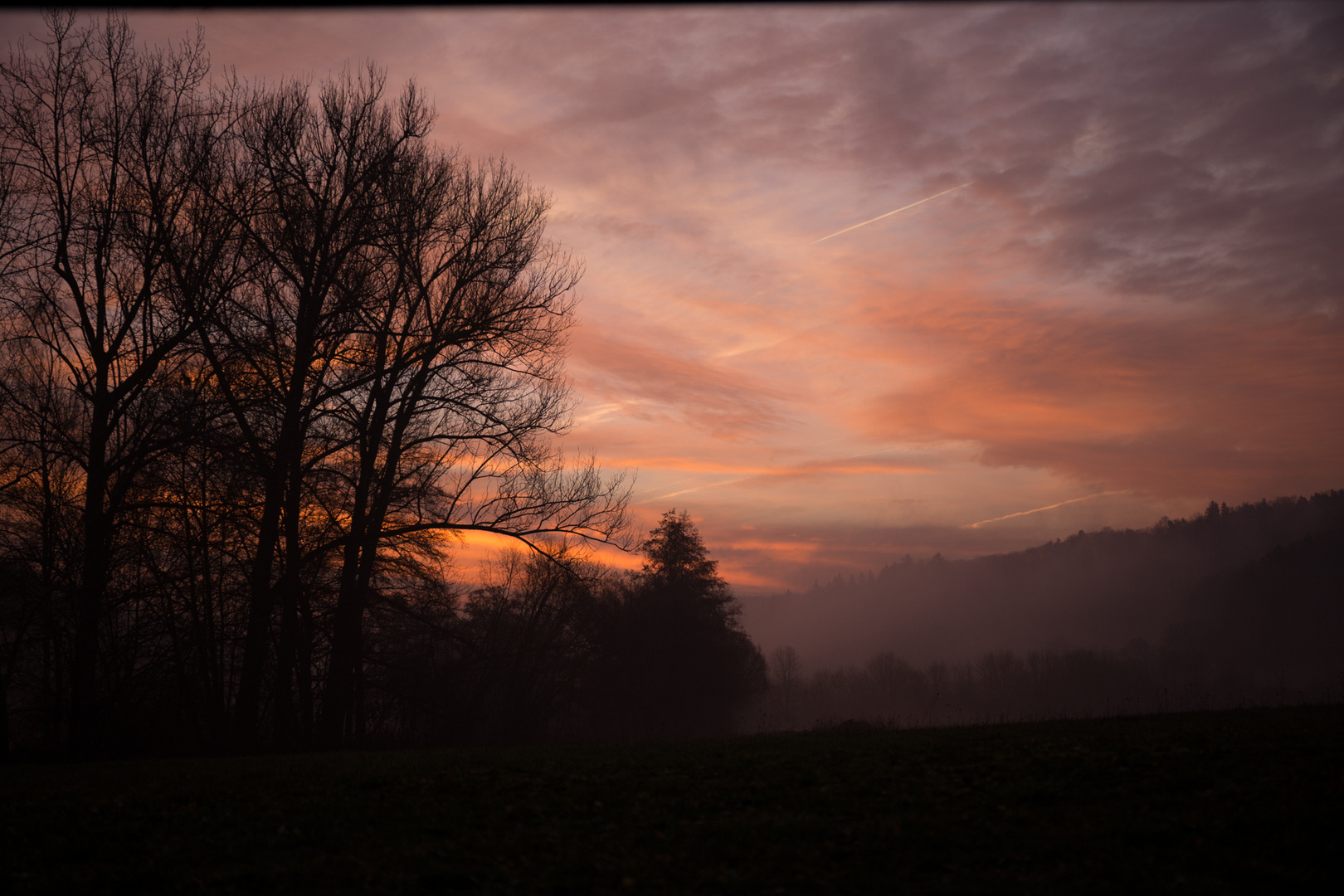 Guten Morgen Steigerwald