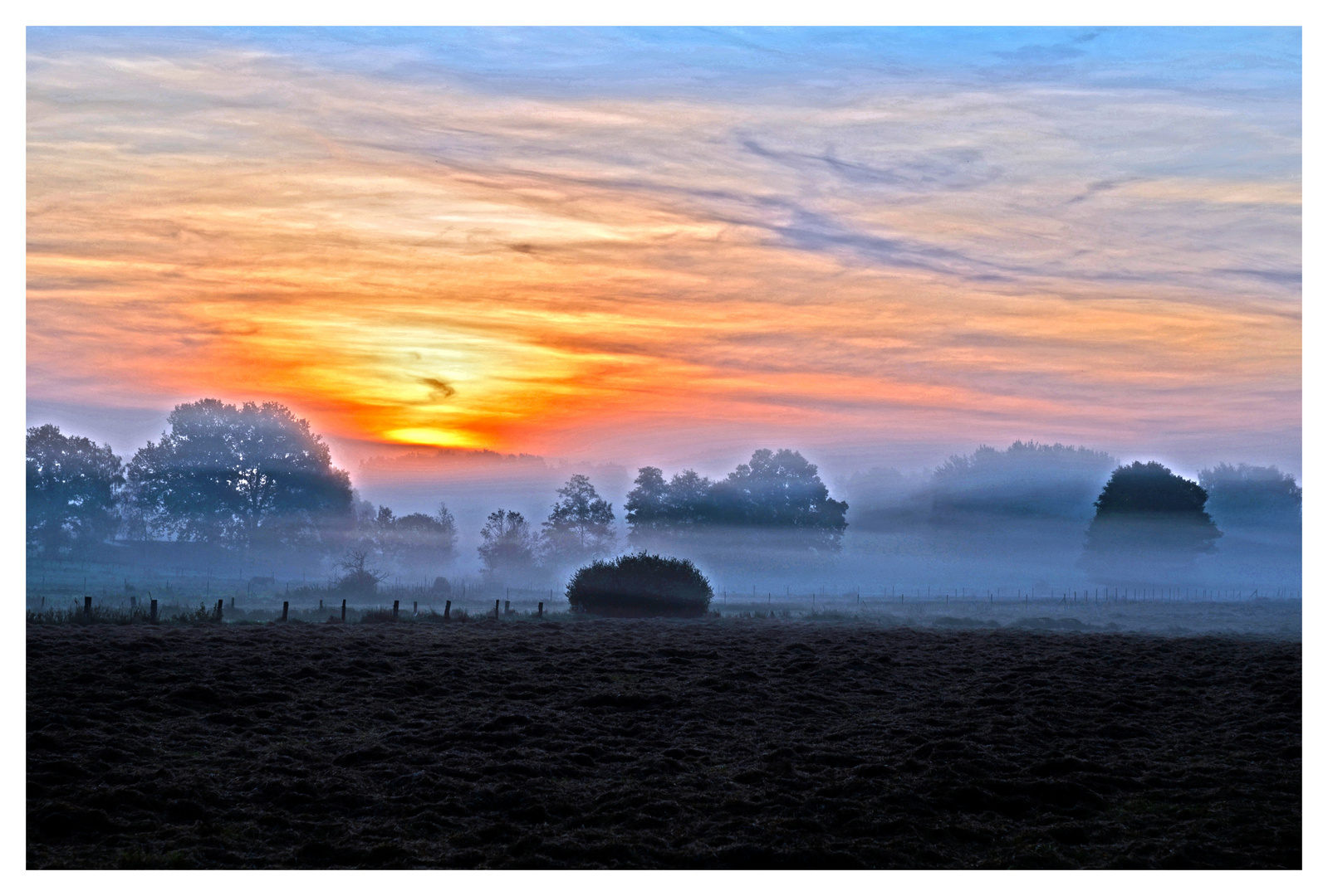 Guten Morgen Tag....