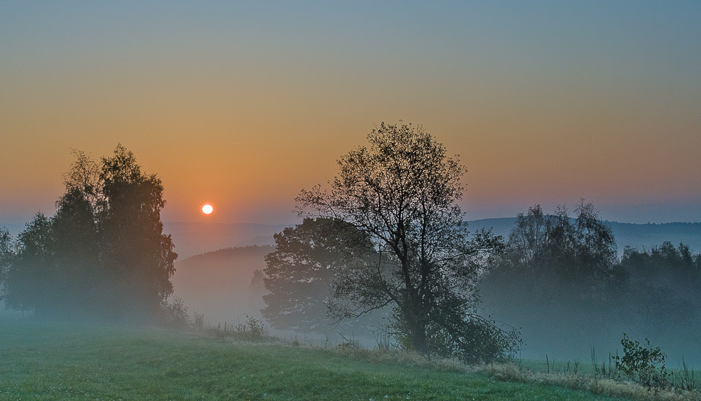 Guten Morgen Trupbacher Heide