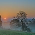 Guten Morgen Trupbacher Heide