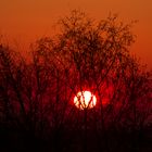 Guten Morgen Velbert