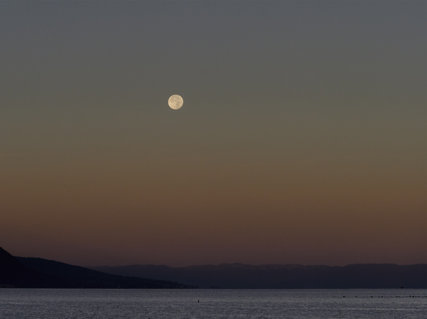 Guten Morgen Vollmond